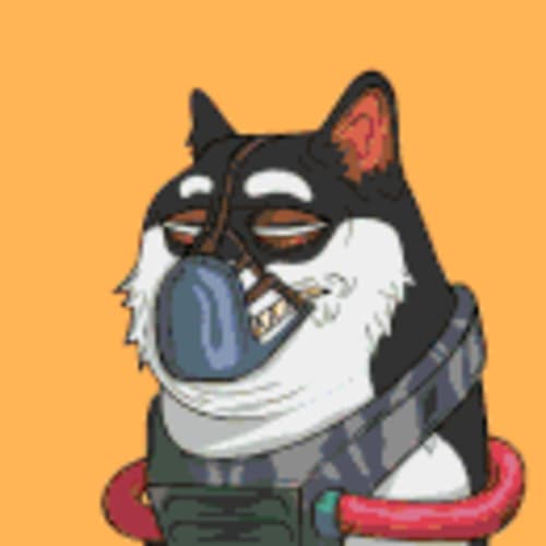 Doge Pound Studios