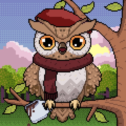 Night Owls Official