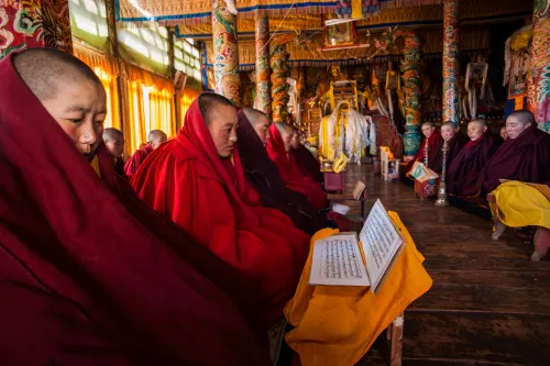 Modern Nuns in Ancient Scripts