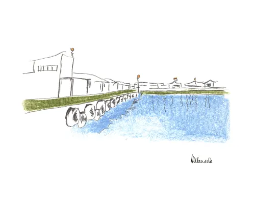 The Harbour