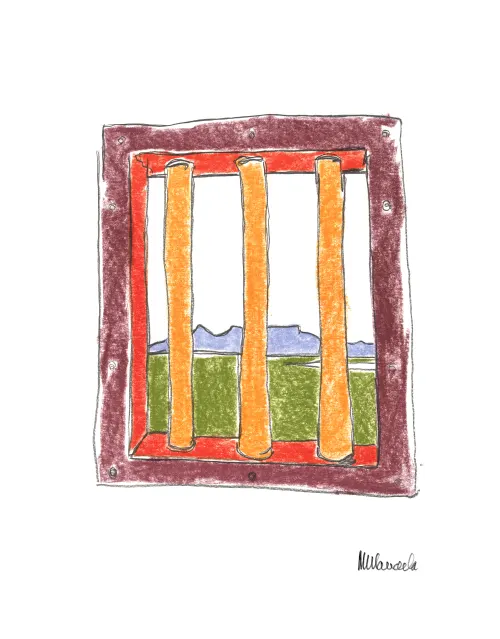 The Window