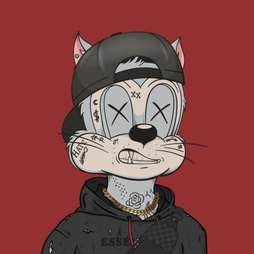 DEGEN TOONZ COLLECTION