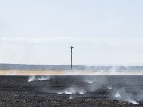 Controlled Burn