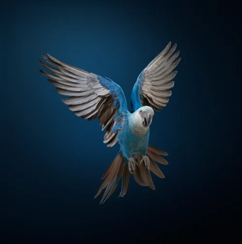 Brave New Wings