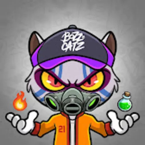 BozzCatz