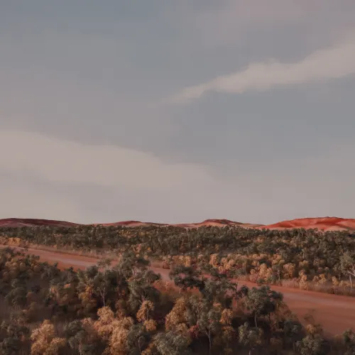 the red centre