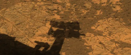 MER Shadow