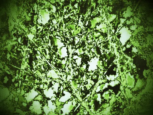 Greenery #2