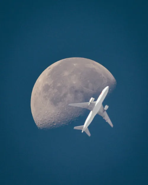 Fly