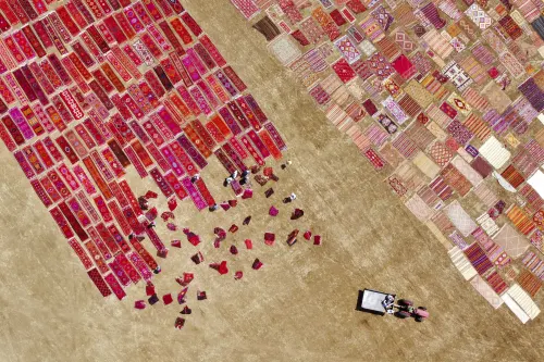 Carpet Field