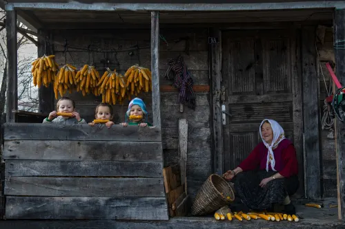 Corn