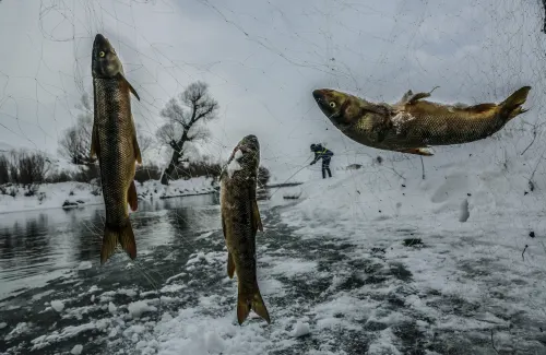 Fish Hunter