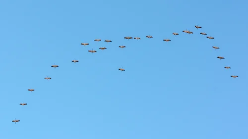 Air
