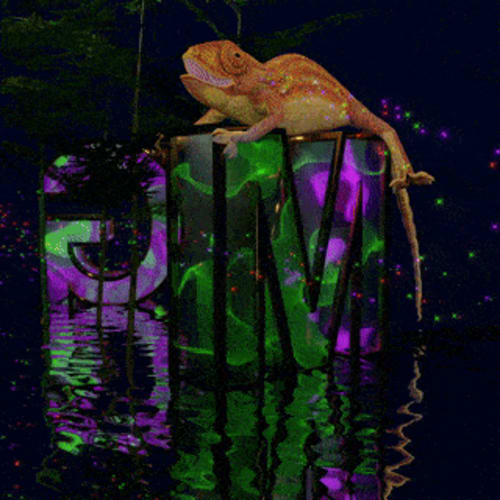 GM Kisses Chameleon
