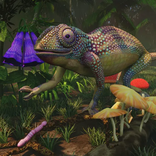 "Charming" - Profusion of Chameleons