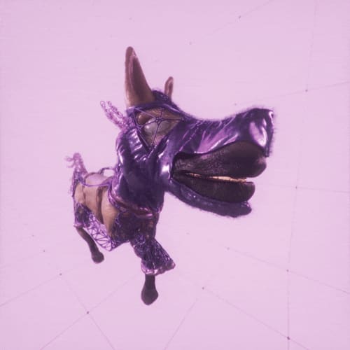 dONKEY 997