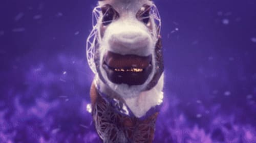 Space Donkey