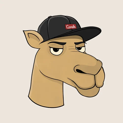 Camels-NFT