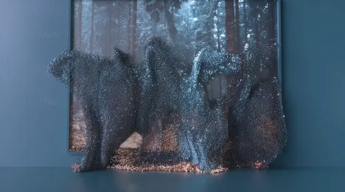 Visit the Forest