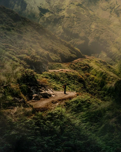 Wanderer