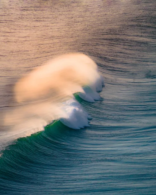 The Jaws