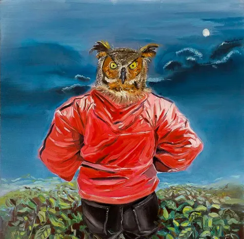 Nature and Owl