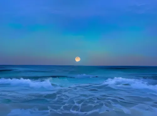 'Cause we love you, Mister Moonlight...