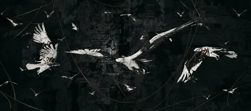 Colony