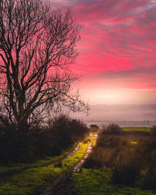 Sunrise over Decomade Meadow