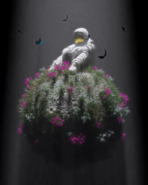 Moon Seat