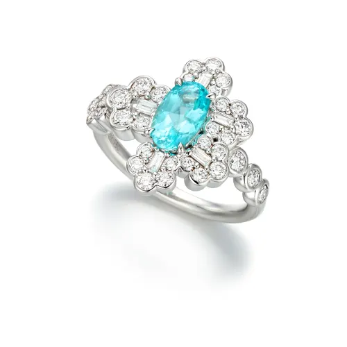 Paraiba Fractal