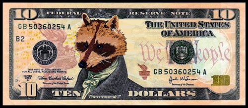 Dollars and Racoons