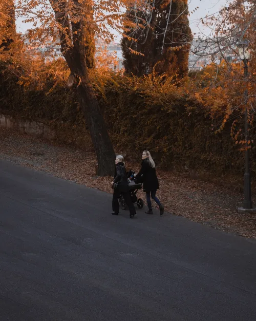 Walk In The Park
