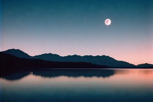 Under the Moonlight