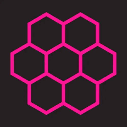 The Real Vision Collective