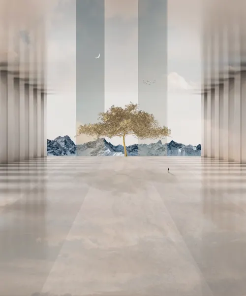 Beyond the veil
