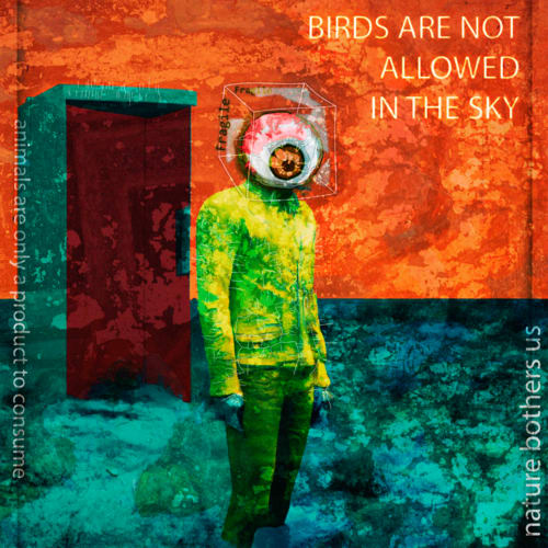 #83 No Birds | Fragile