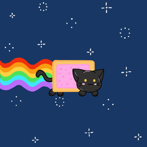 BONUS: Jedy Cat