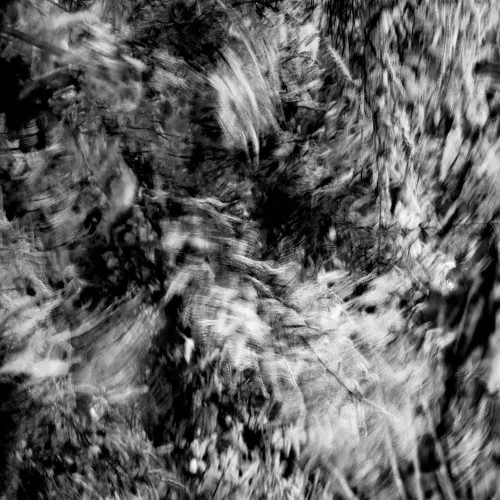 Monochroma