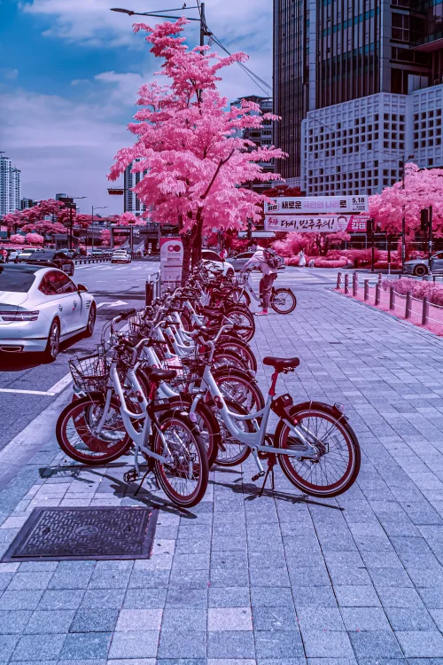 RPM