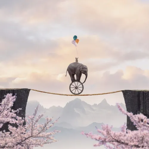 Aerial Acrobats
