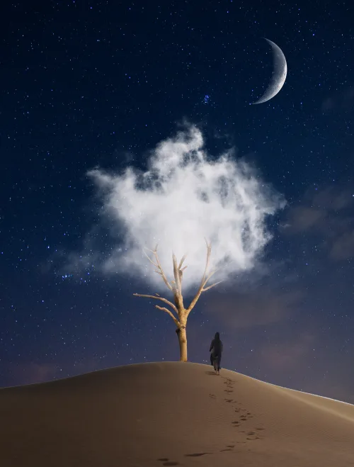 The Dream Tree
