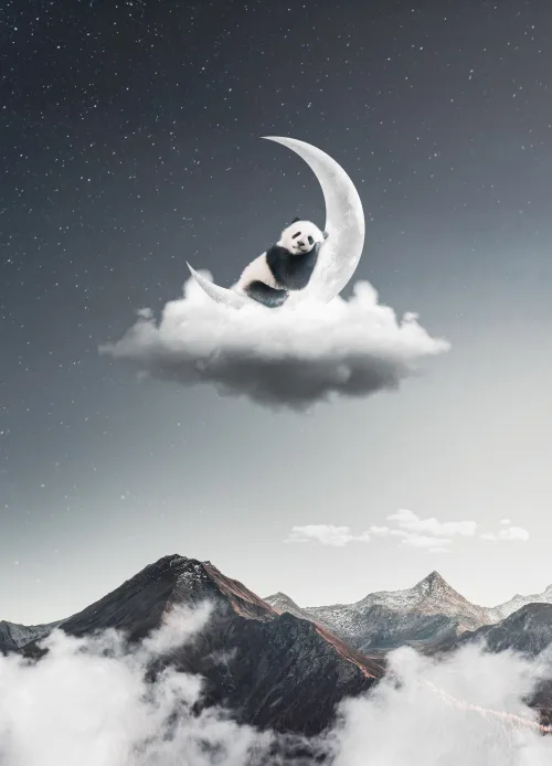 Panda's Dream