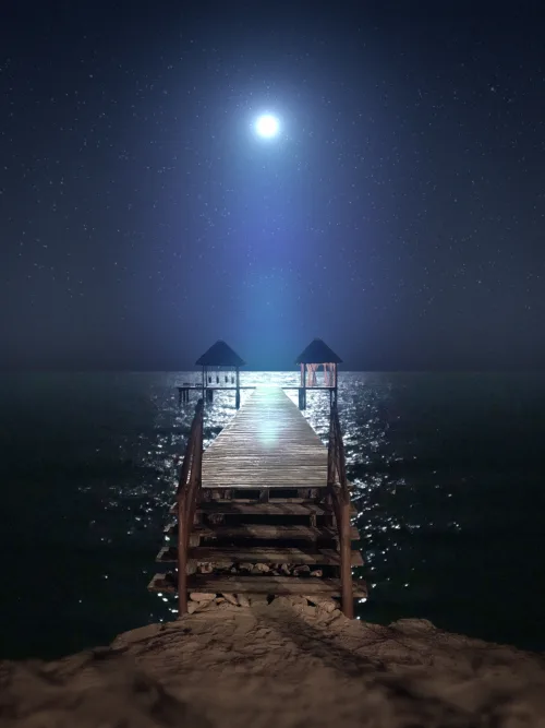 Bright Midnight