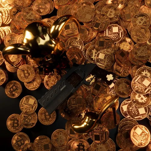 Lost Wealth