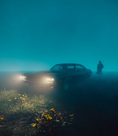 Into The Fog
