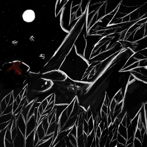 Stargazing