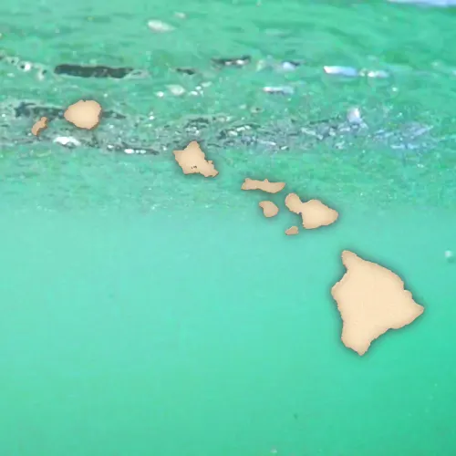Stand With Hawaii | Ocean