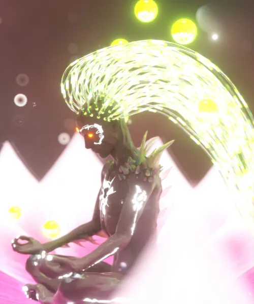 Psychedelic Meditation