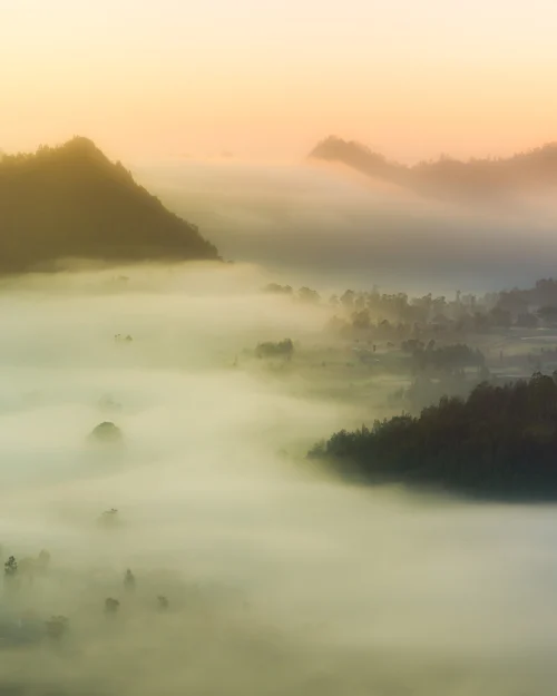 Dreamy Morning